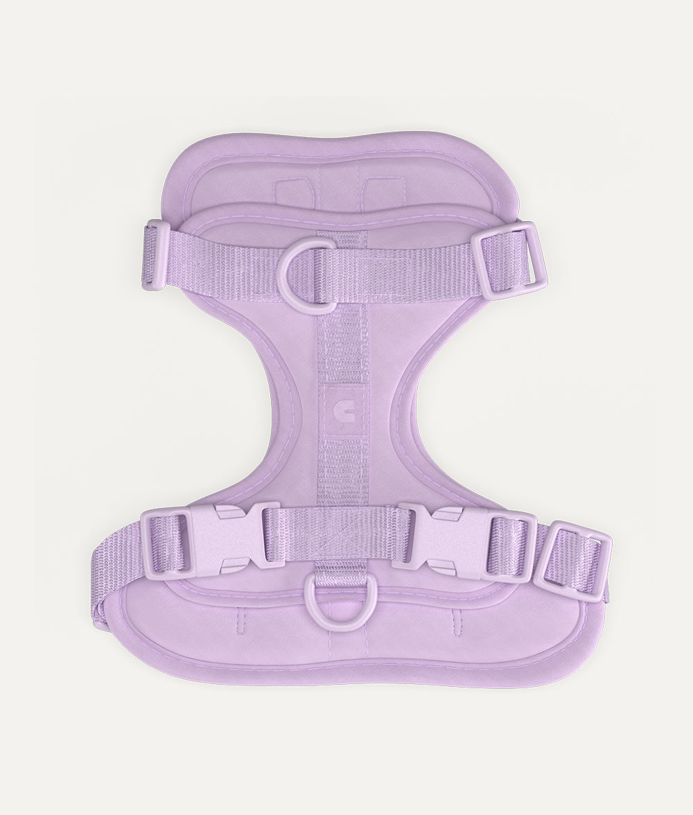 Hundegeschirr Violett, Gala