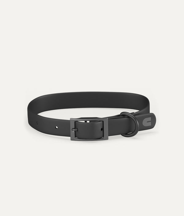 Black Dog Collar, Gala