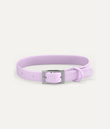 Violet Dog Collar, Gala