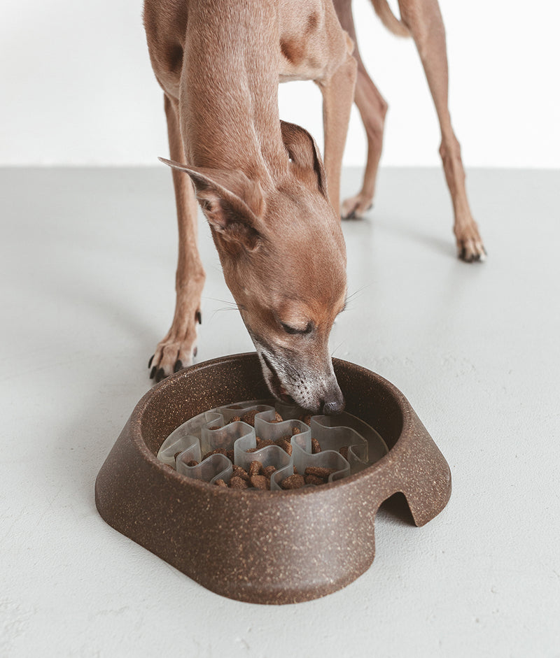 Gamelle pour chien en bioplastique, Eaty