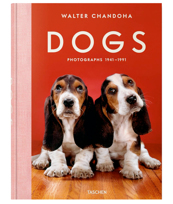 Buch Walter Chandoha. Hunde. Fotografien 1941–1991