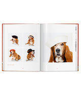 Walter Chandoha. dogs. Photographs 1941–1991 book