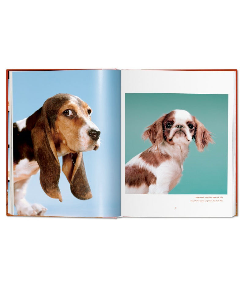 Walter Chandoha. dogs. Photographs 1941–1991 book