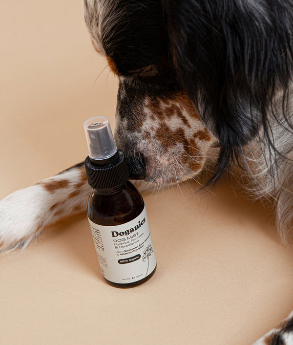 Brume Végétalienne pour Chien 100ml