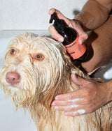Veganes Hundeshampoo 300ml