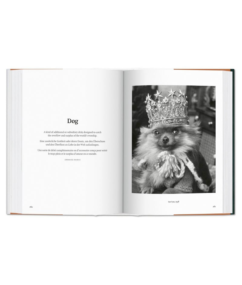 Libro The Dog in Photography 1839–Today