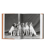 Livre Le chien en photographie 1839 à aujourd'hui
