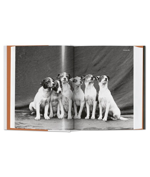 Libro The Dog in Photography 1839–Today