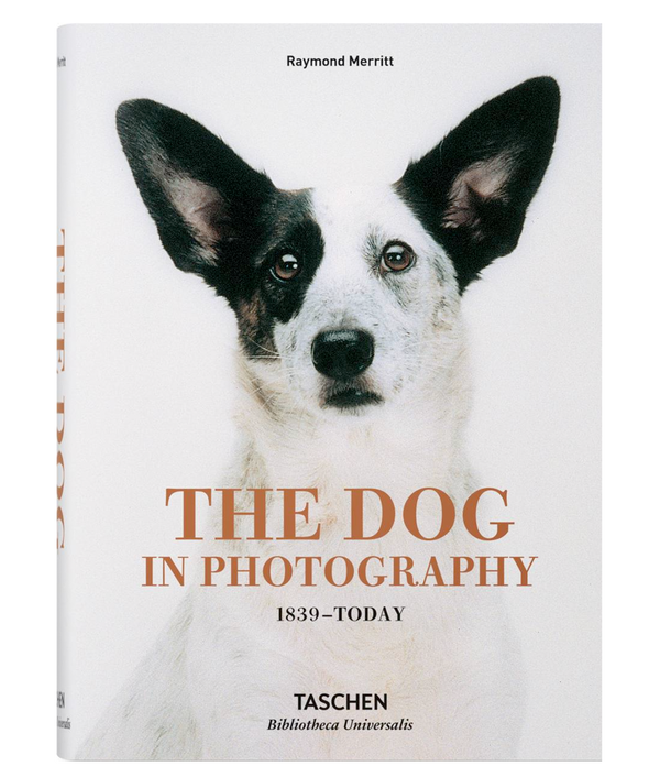 Libro The Dog in Photography 1839–Today