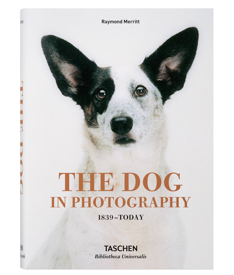 Livre Le chien en photographie 1839 à aujourd'hui